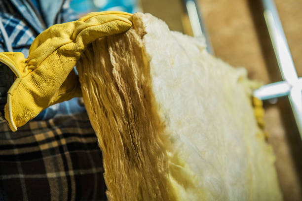 Insulation Replacement Services in Almont, MI