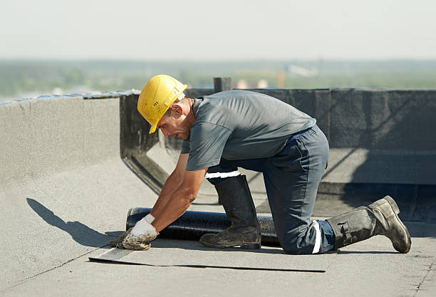 Best Attic Insulation Installation  in Almont, MI